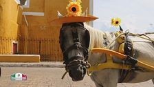 prima tappa: la penisola dello Yucatan