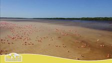 Anticipazione della seconda puntata del Grand Raid del Caribe