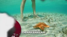 Speciale Natale 2015
