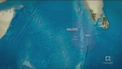 Puntata del 14 aprile - Collection