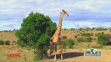 Le Donnavventura a stretto contatto con i Masai