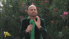 Vedi Napoli e poi... Maturi!