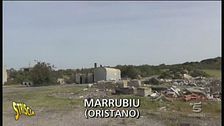 Animali in difficoltà a Marrubiu (Oristano)