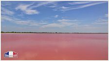"La Camargue: un angolo di pura pace e poesia "