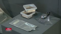 Dal cocktail di gamberi alle fragole disidratate, ecco cosa mangiano gli astronauti