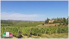 Wine resort: tra le bellezze e i sapori d'Italia