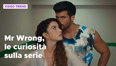 Mr Wrong, le curiosità sulla serie