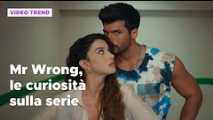 Mr Wrong, le curiosità sulla serie