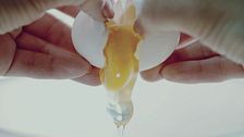 Il cibo è vita e passione: non sprechiamolo