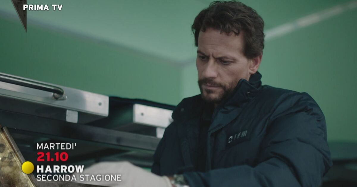 Promo: Harrow Video | Mediaset Infinity