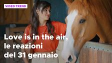Love is in the air, il riassunto e le reazioni alla puntata del 31 gennaio