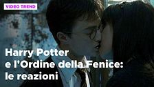 Harry Potter e l'Ordine della fenice, le reazioni sui social