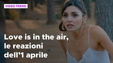 Love is in the air, il riassunto e le reazioni alla puntata dell'1 aprile