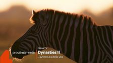 Dynasties 2 - L'avventura della vita arriva su Rete 4