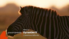 Dynasties 2 - L'avventura della vita arriva su Rete 4