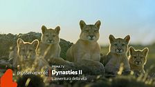 Dynasties 2 - L'avventura della vita: un appuntamento imperdibile