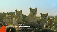 Dynasties 2 - L'avventura della vita: un appuntamento imperdibile