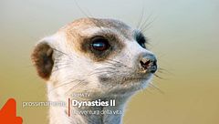 Dynasties 2 - L'avventura della vita: non mancate