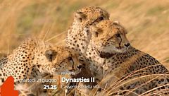 Dynasties 2 - L'avventura della vita: da martedì 21 giugno