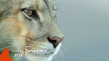 Dynasties 2: in prima serata su Rete 4
