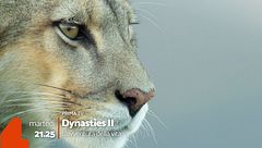 Dynasties 2: in prima serata su Rete 4