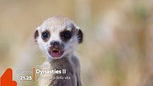 Dynasties 2 - L'avventura della vita vi aspetta su Rete 4
