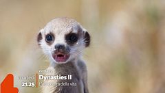 Dynasties 2 - L'avventura della vita vi aspetta su Rete 4