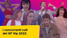 I concorrenti cult del Grande Fratello Vip 2022