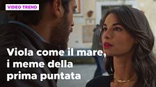 Viola come il mare, i meme dalla prima puntata