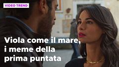 Viola come il mare, i meme dalla prima puntata