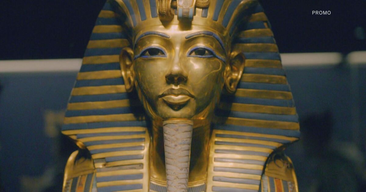 Promo: King Tut Day Video | Mediaset Infinity