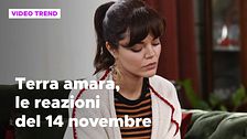 Terra Amara, il riassunto e le reazioni alla puntata del 14 novembre