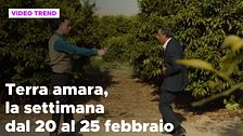 Terra amara, il riassunto della settimana dal 20 al 25 febbraio