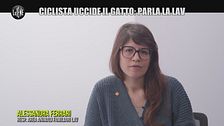 Alessandra Ferrari, responsabile area animali familiari LAV