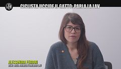 Alessandra Ferrari, responsabile area animali familiari LAV
