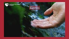 Ident Focus
