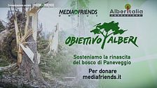 Obiettivo Alberi: nuova vita per il bosco di Paneveggio