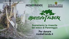 Obiettivo Alberi: nuova vita per il bosco di Paneveggio