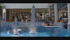 L'incredibile storia di Winter il delfino 2