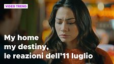 My home my destiny, il riassunto e le reazioni della puntata dell'11 luglio