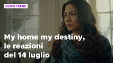My home my destiny, il riassunto e le reazioni della puntata del 14 luglio