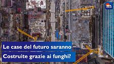 Le case del futuro saranno costruite con i funghi?