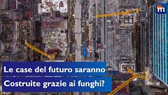 Le case del futuro saranno costruite con i funghi?