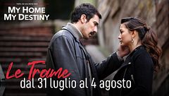 Le trame dal 31 luglio al 4 agosto