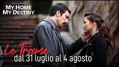 Le trame dal 31 luglio al 4 agosto