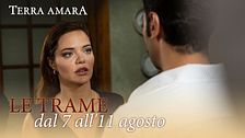 Le trame dal 7 all'11 agosto