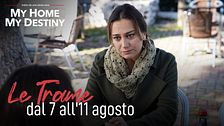 Le trame dal 7 all'11 agosto