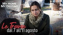 Le trame dal 7 all'11 agosto