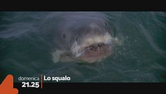 Lo squalo
