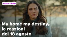 My home my destiny, il riassunto e le reazioni del 18 agosto